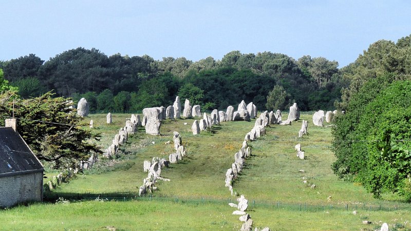 (59) Les Alignments de Kermario.JPG
